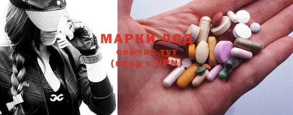 spice Инта