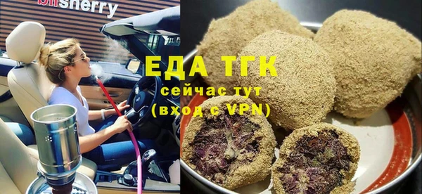 spice Инта