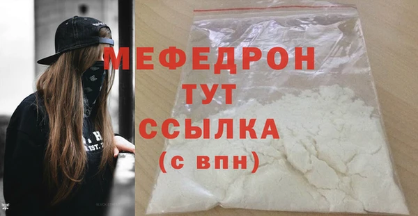 spice Инта