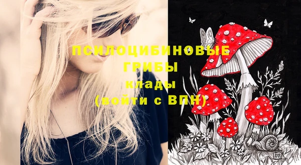 стаф Иннополис