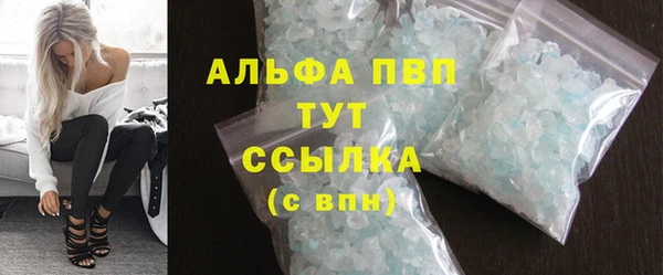 тгк Инсар