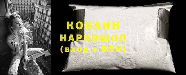 тгк Инсар