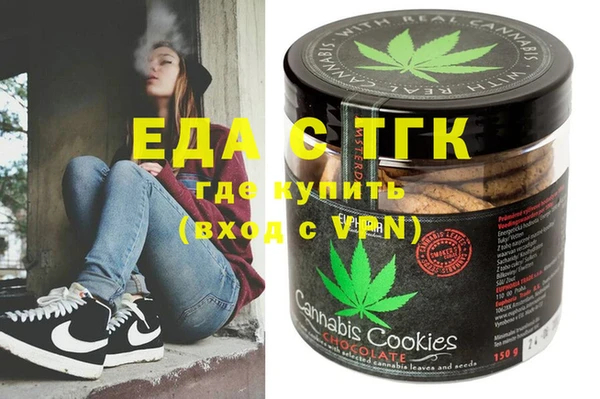 тгк Инсар