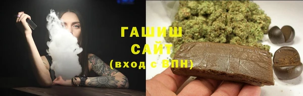 spice Инта