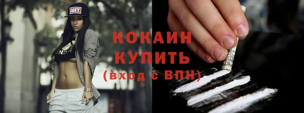 шишки Каменка