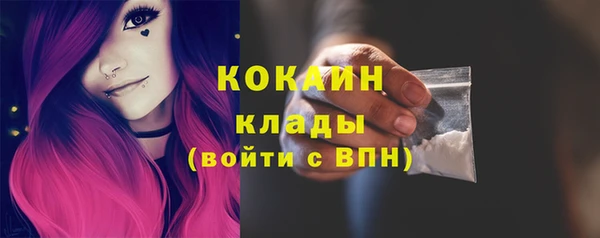 тгк Инсар