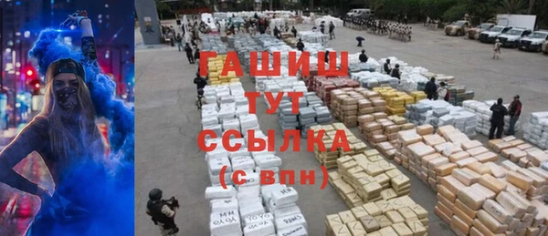 тгк Инсар