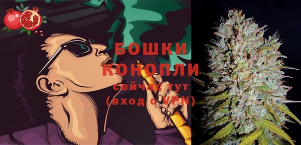 тгк Инсар