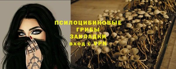 spice Инта
