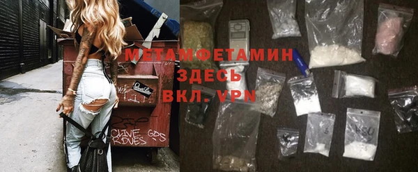 spice Инта