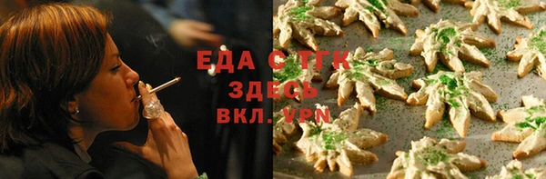 spice Инта