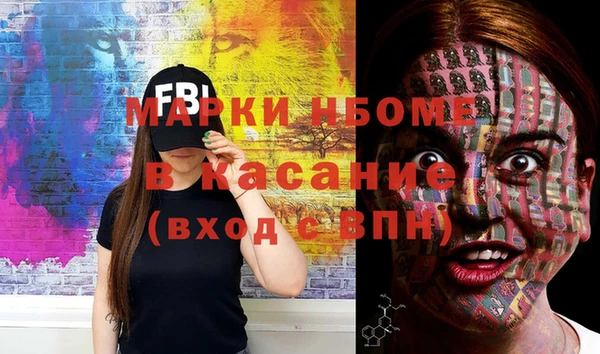 тгк Инсар