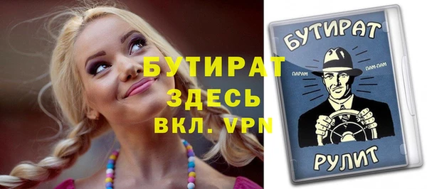 spice Инта