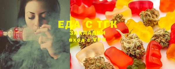 spice Инта
