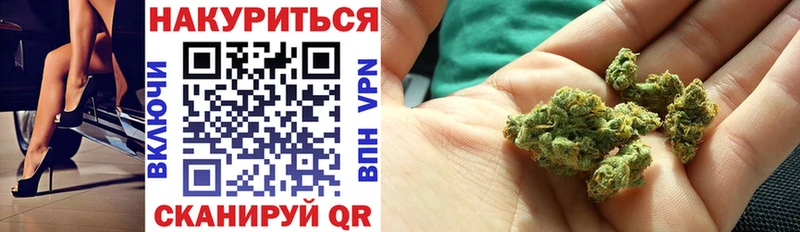 МАРИХУАНА SATIVA & INDICA цена Сосенский